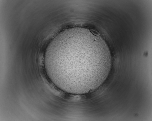 X0000115630083200911241656