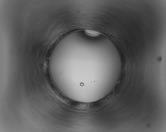 X0000115630084200911241656