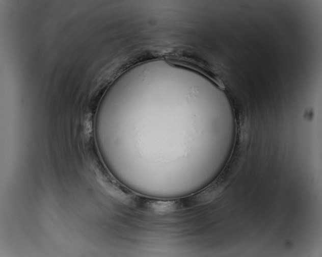 X0000115630085200911241656