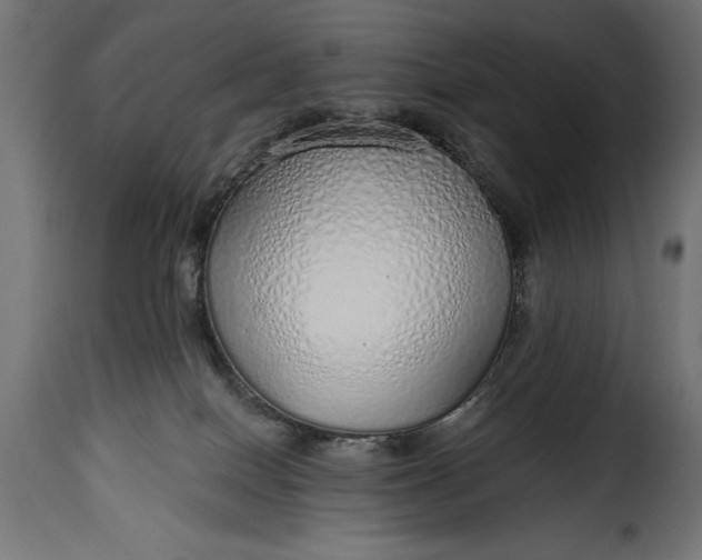 X0000115630086200911241656