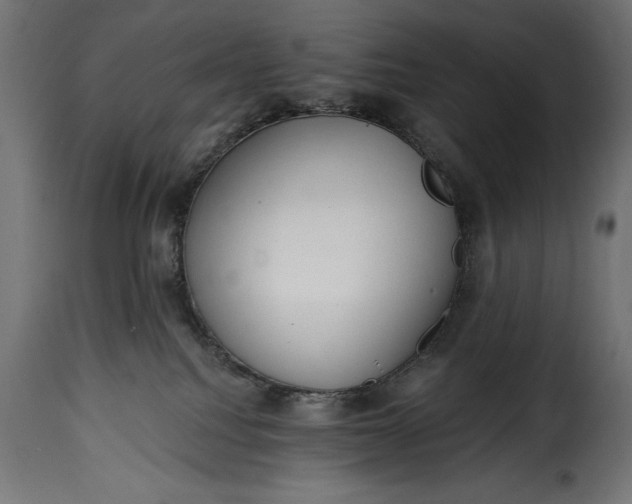 X0000115630088200911241657