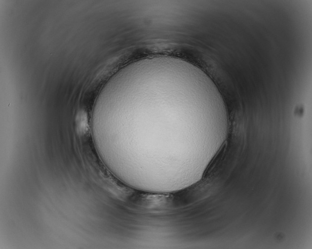 X0000115630089200911241657