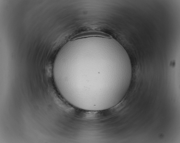 X0000115630090200911241657