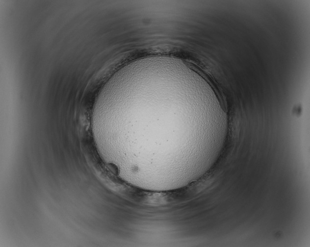 X0000115630091200911241657