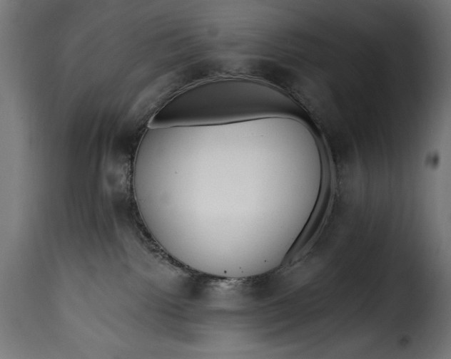 X0000115630092200911241657