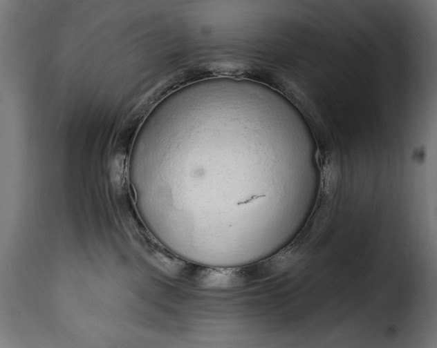 X0000115630093200911241657