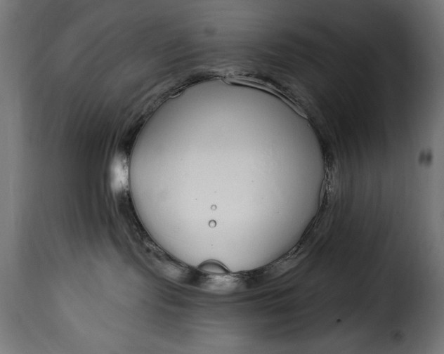 X0000115630095200911241657