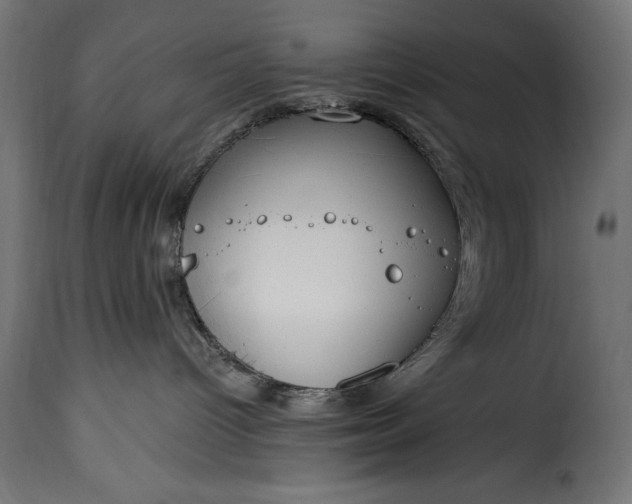 X0000115630096200911241657