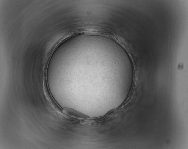 X0000115630097200911241656