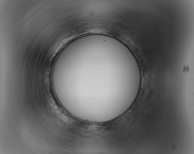 X0000115630098200911241656