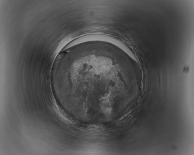 X0000115630099200911241656