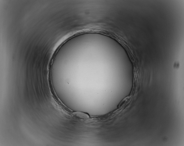 X0000115630100200911241656