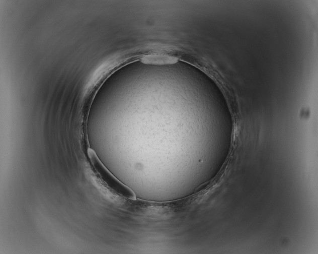 X0000115630101200911241656