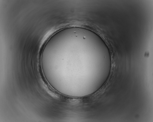 X0000115630102200911241656