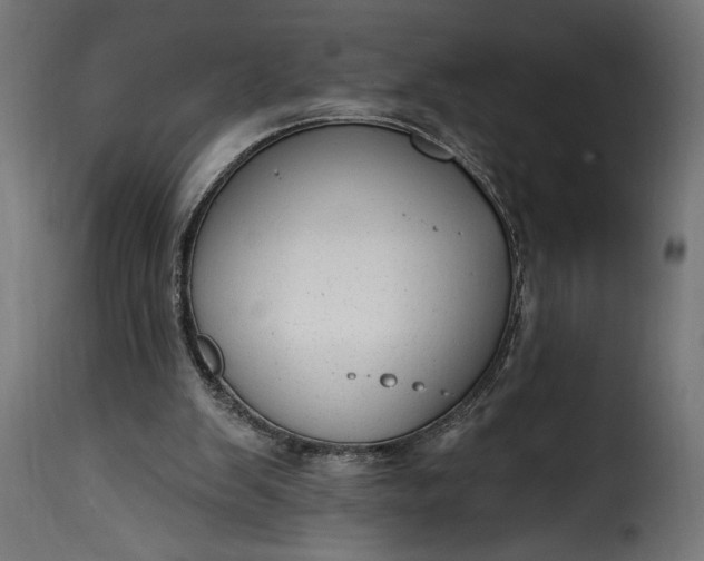 X0000115630103200911241656