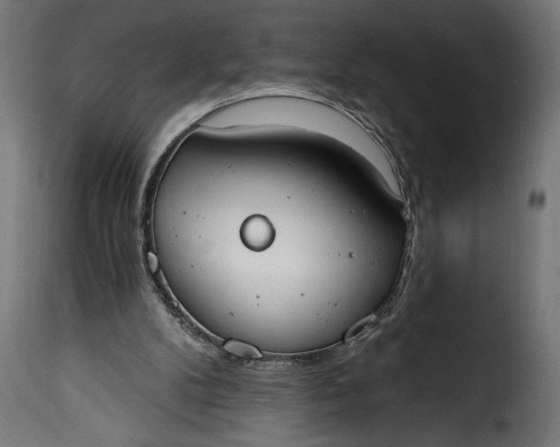 X0000115630104200911241656