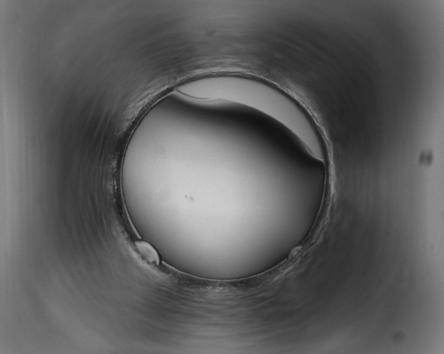 X0000115630105200911241656