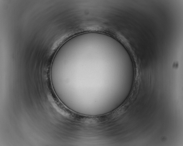 X0000115630106200911241656