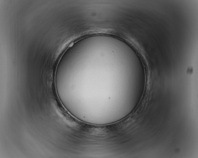 X0000115630107200911241656