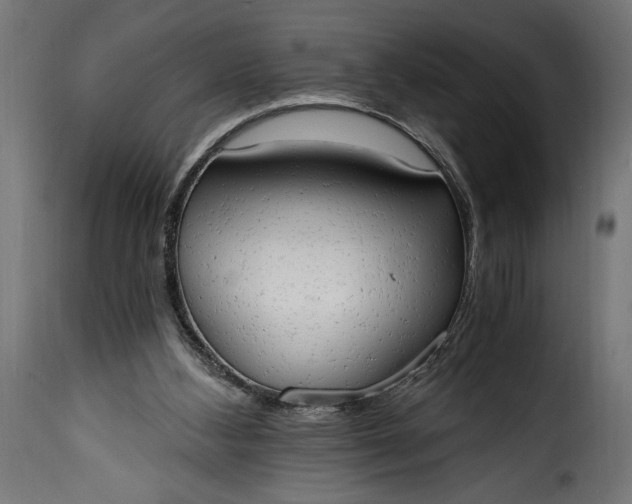 X0000115630108200911241656