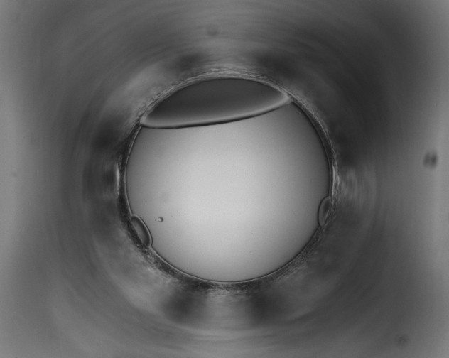 X0000115630109200911241656