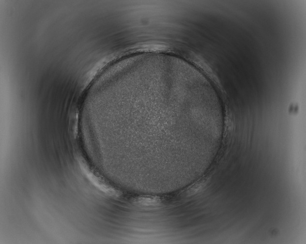 X0000115630110200911241656