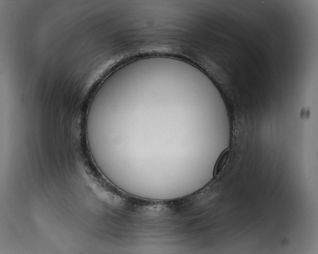 X0000115630112200911241656