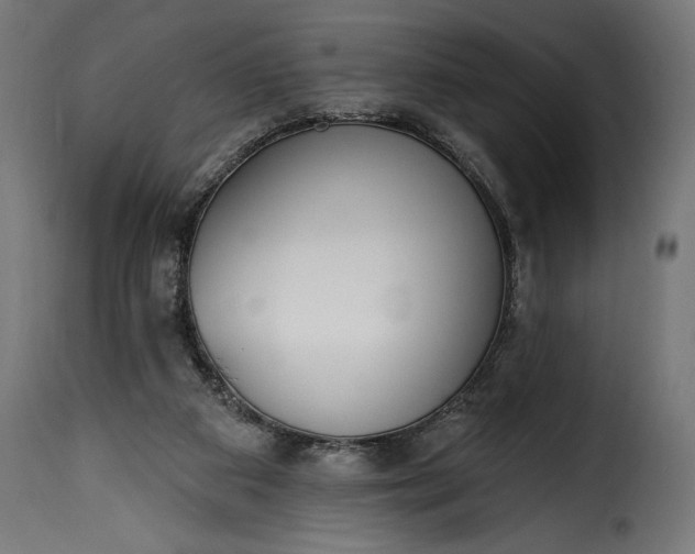 X0000115630113200911241656