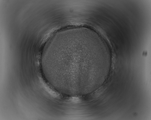 X0000115630114200911241656