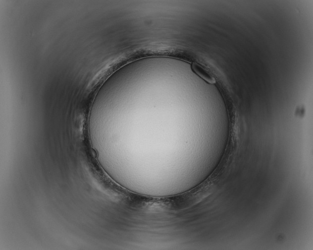 X0000115630115200911241656