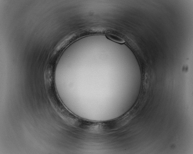 X0000115630116200911241656