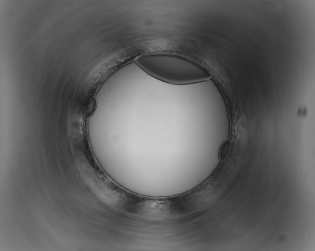 X0000115630117200911241656