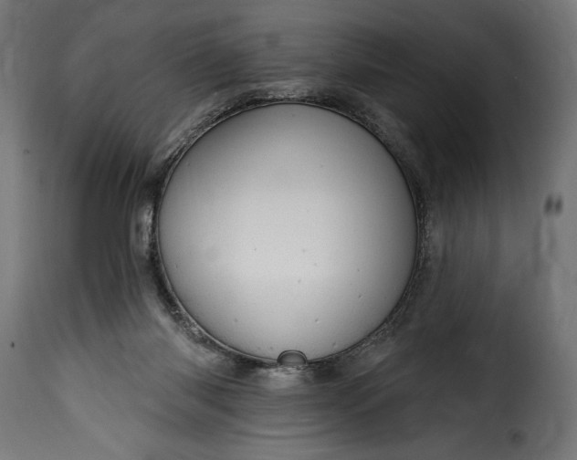 X0000115630118200911241655