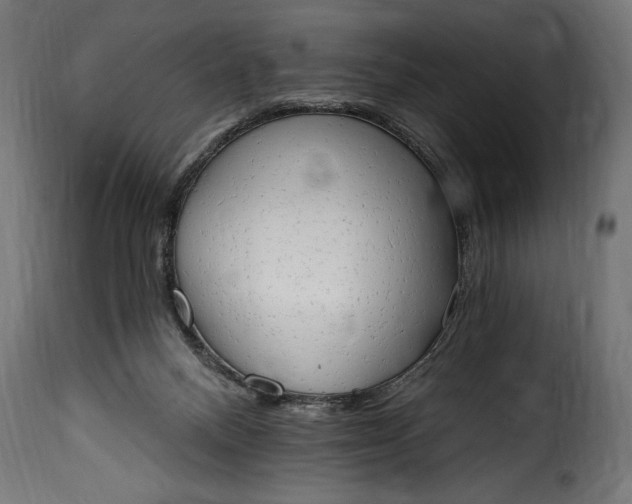 X0000115630120200911241655