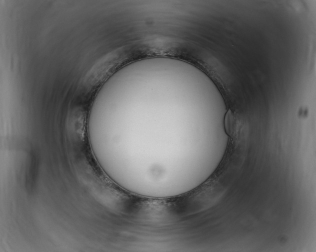 X0000115630121200911241655