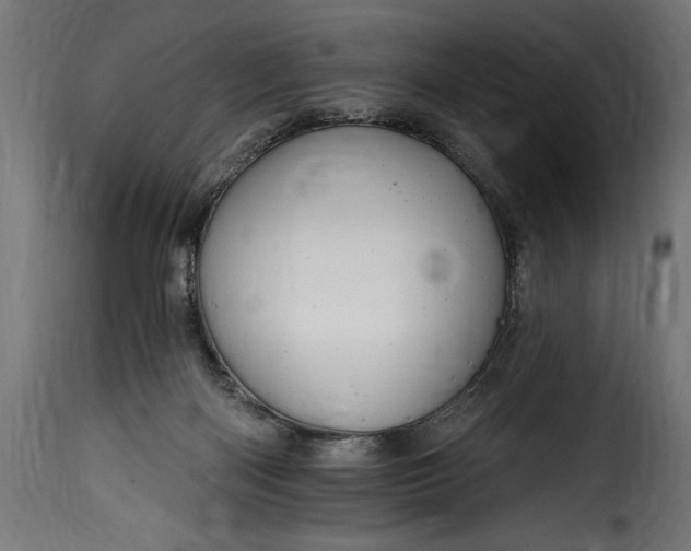 X0000115630122200911241655