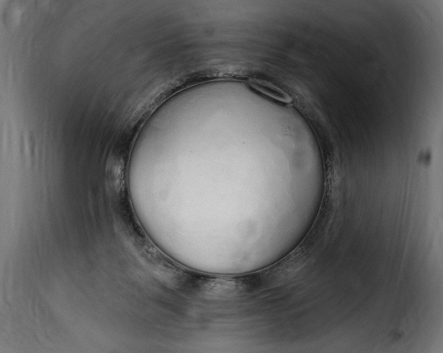 X0000115630123200911241655