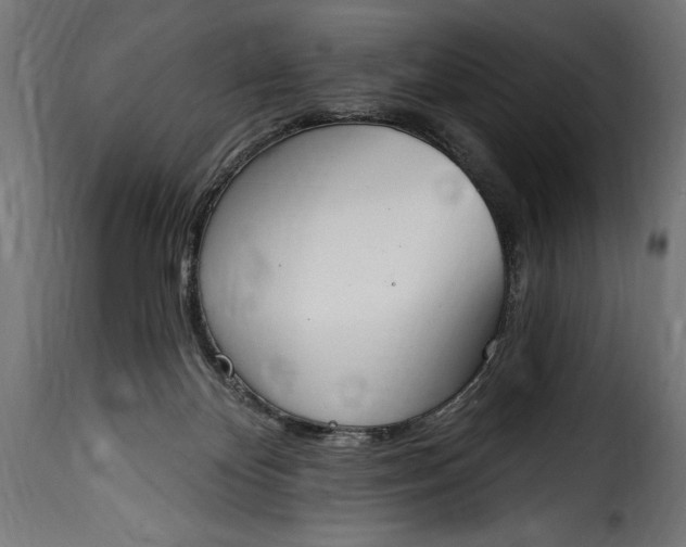 X0000115630124200911241655