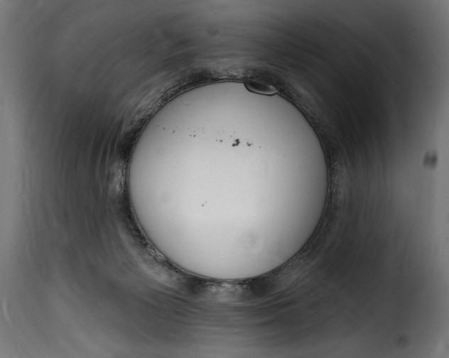 X0000115630125200911241655