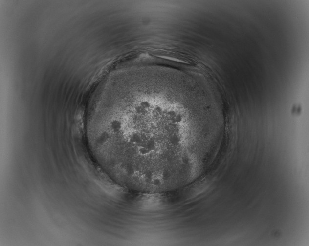 X0000115630127200911241655