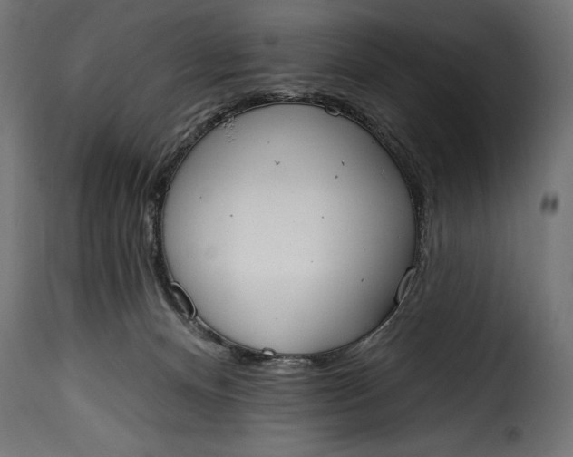 X0000115630128200911241655