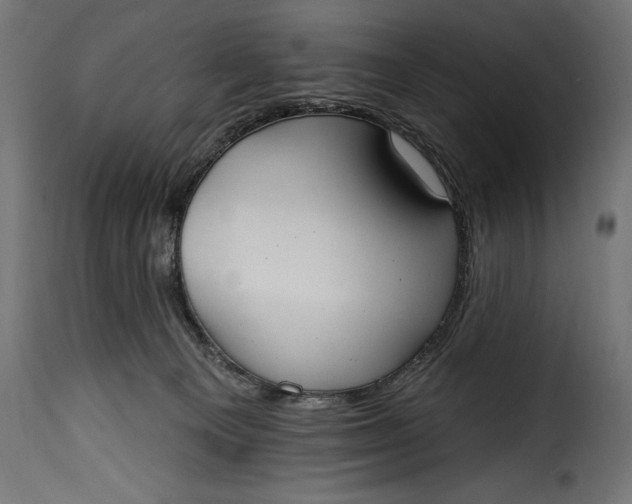 X0000115630129200911241655