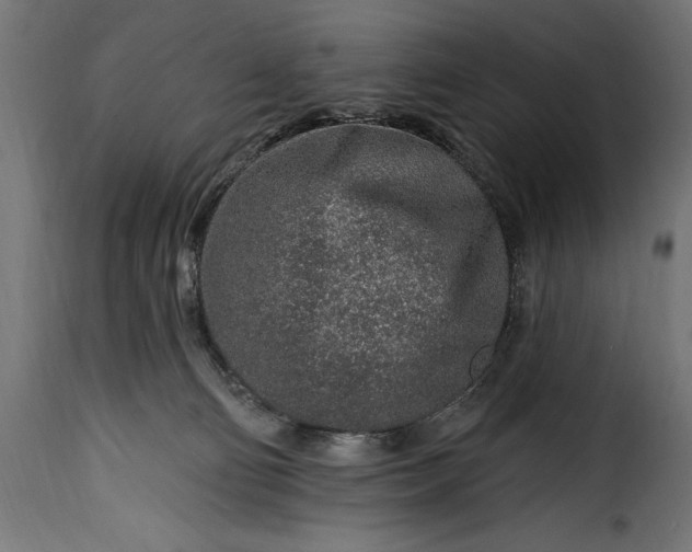 X0000115630130200911241655