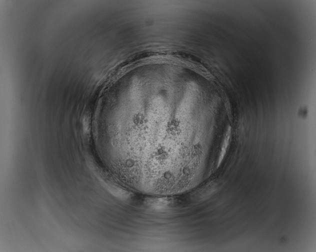 X0000115630131200911241655