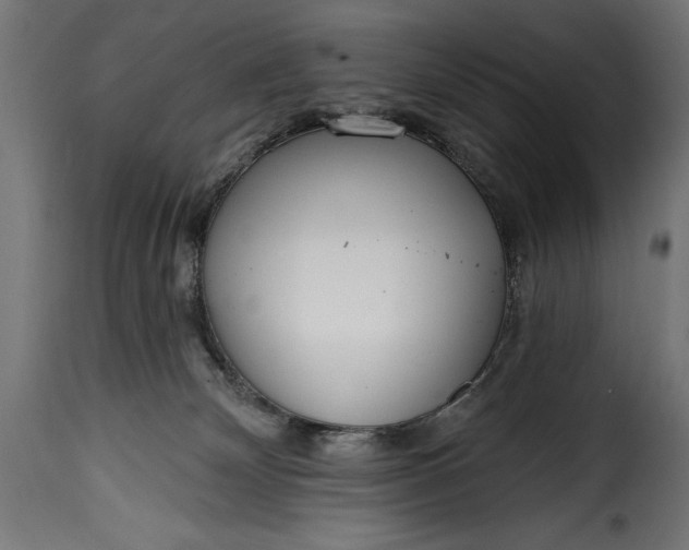 X0000115630132200911241655