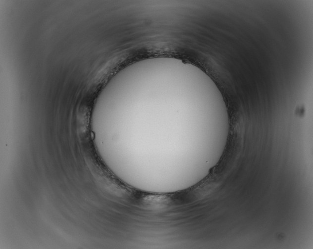 X0000115630133200911241655