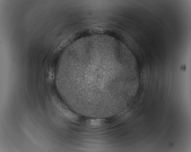 X0000115630134200911241655