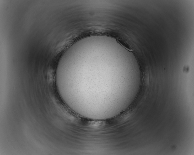 X0000115630135200911241655