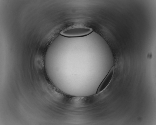 X0000115630136200911241655