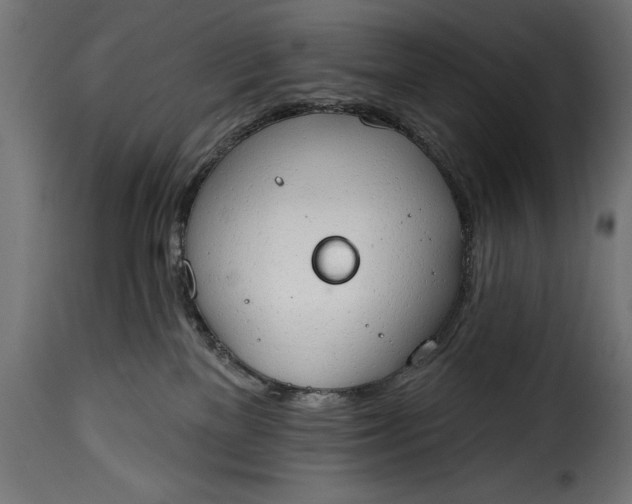 X0000115630137200911241655